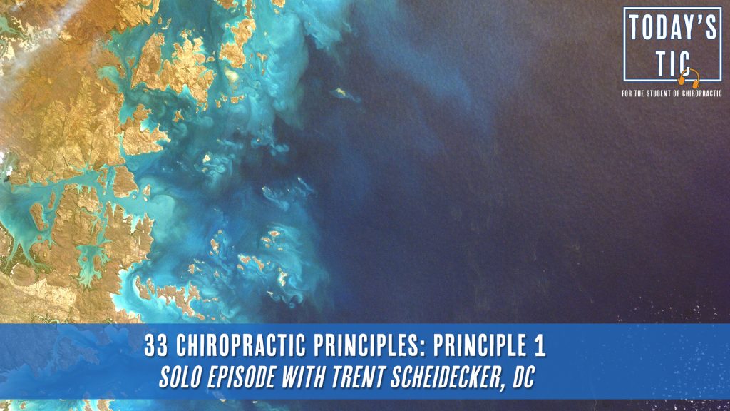 33 Chiropractic Principles: Principle 1