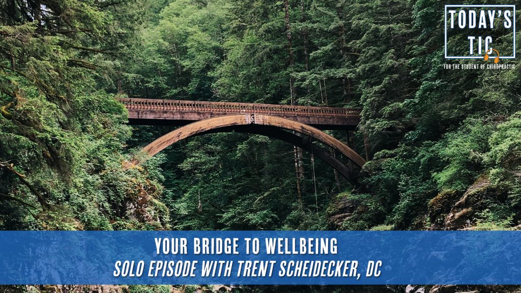 Your Bridge to Wellbeing