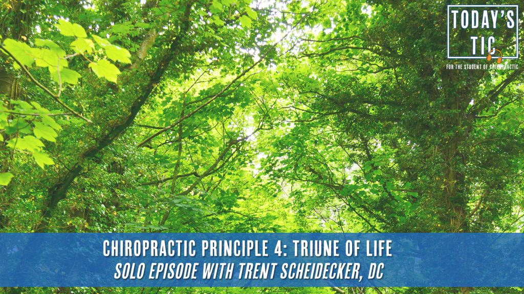 Chiropractic Principle 4 : Triune of Life