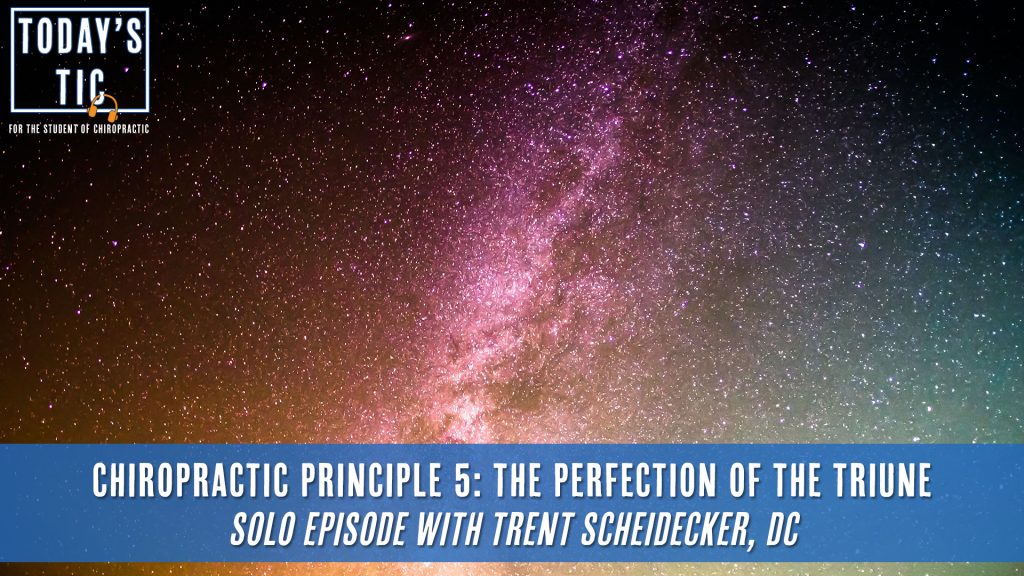 Chiropractic Principle 5 - The Perfection of the Triune