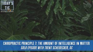 Chiropractic Principle 7: The Amount of Intelligence in Matter