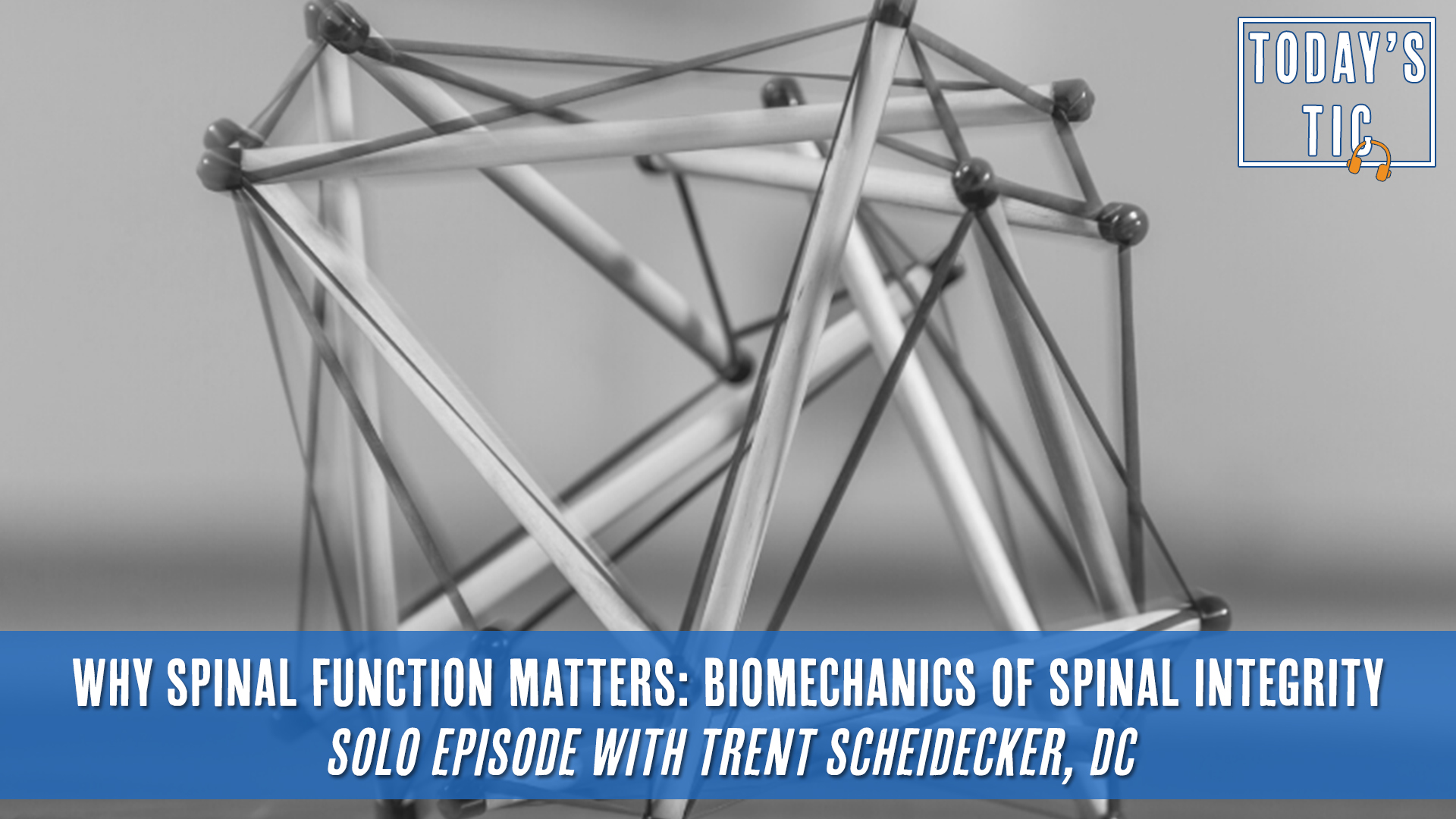Why Spinal Function Matters: Biomechanics of Spinal Integrity