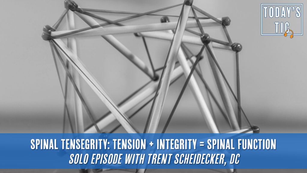 spinal tensegrity