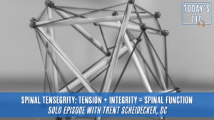 spinal tensegrity