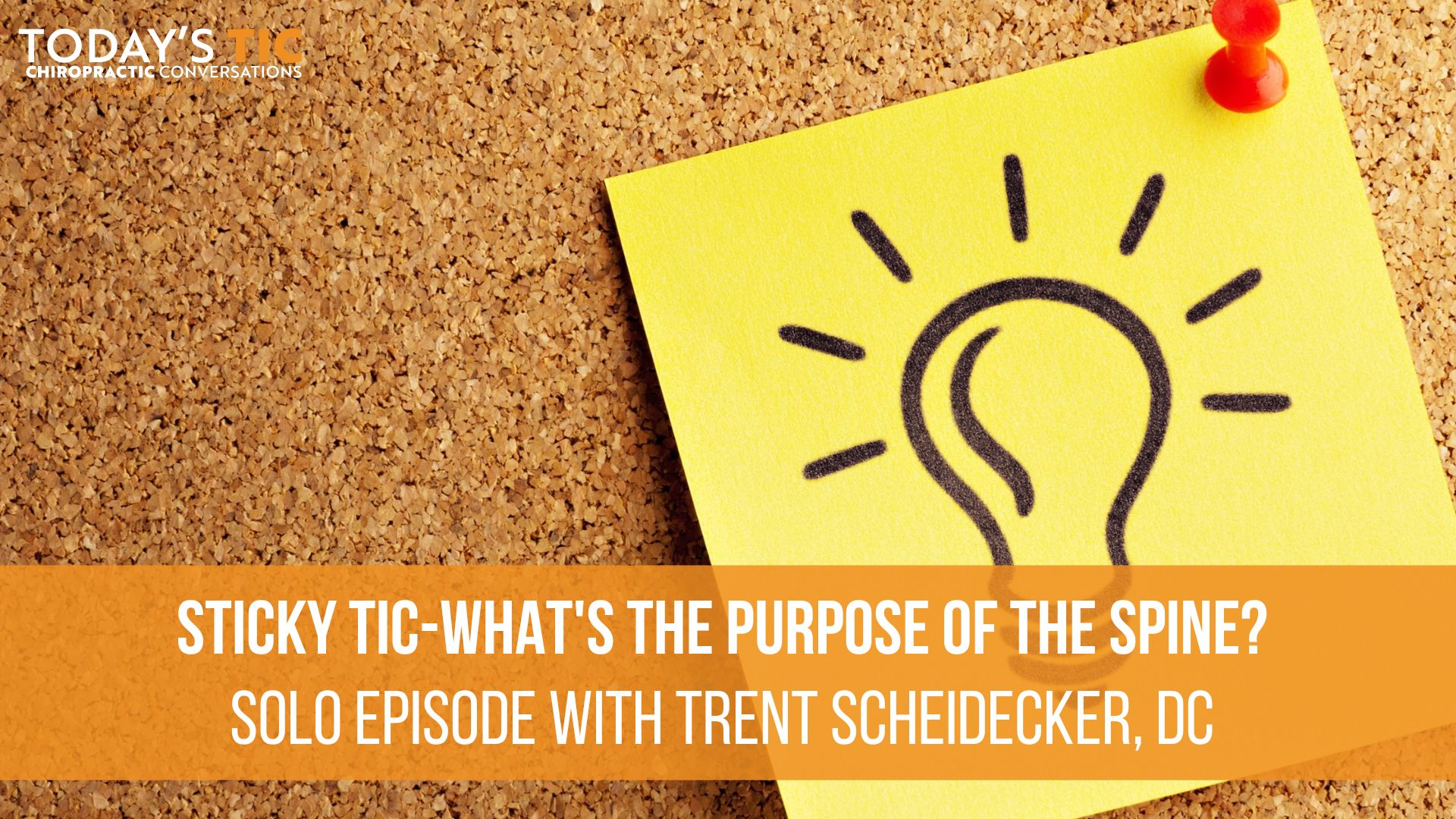 112-sticky-tic-what-s-the-purpose-of-the-spine-trent-scheidecker-dc